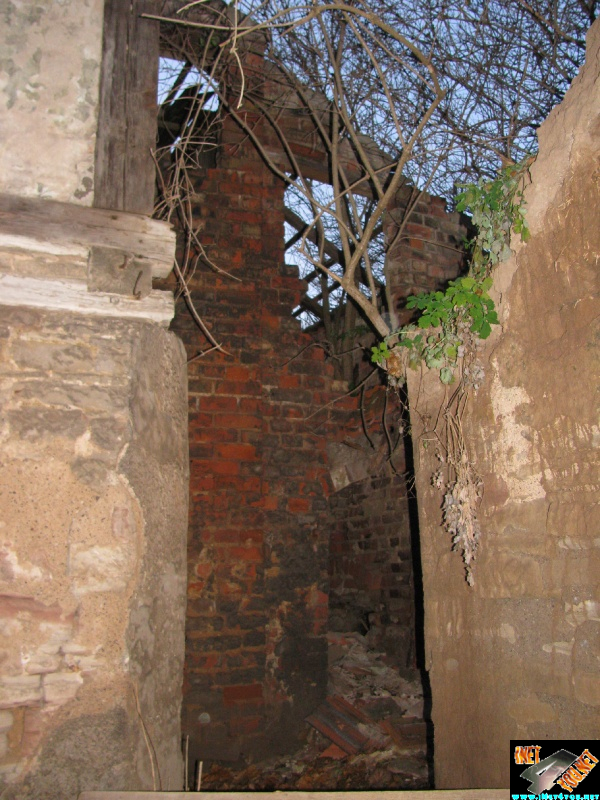 Artern 2011