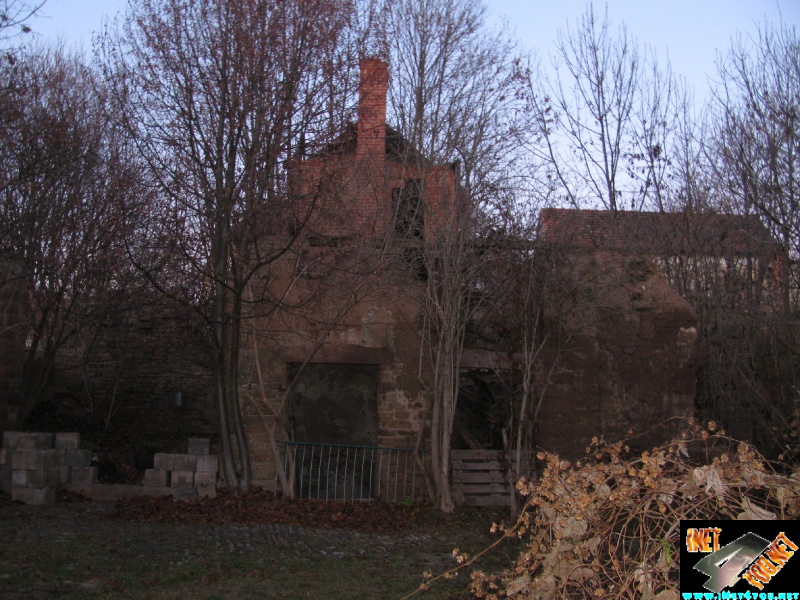 Artern 2011