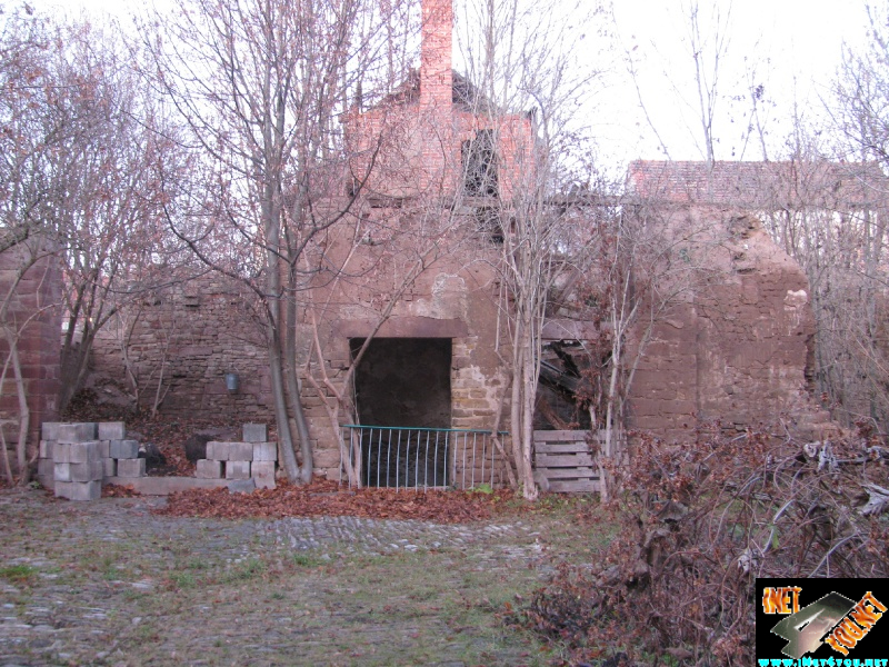Artern 2011