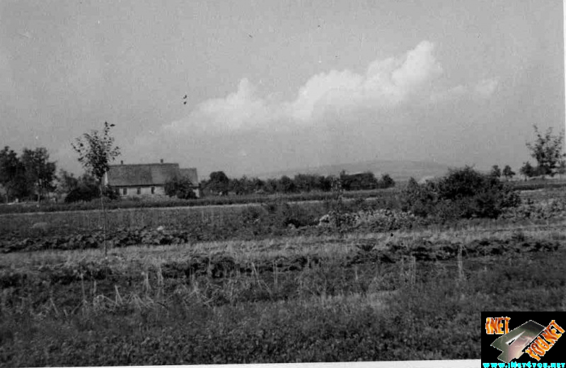 Schönfeld